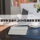 【窗帘卧室图片,2020年最新卧室窗帘】