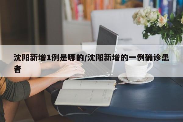 沈阳新增1例是哪的/沈阳新增的一例确诊患者